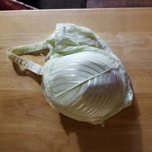 42D bra